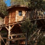 Cabane perchée avec balcon bois, fenêtre et hamac, hébergement insolite en pleine nature verdoyante. Auberge de la Tuilière