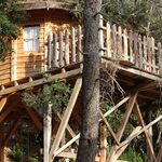 Cabane perchée sur pilotis, toit de chaume, ombragée par les arbres pour une escapade insolite en nature. Auberge de la Tuilière