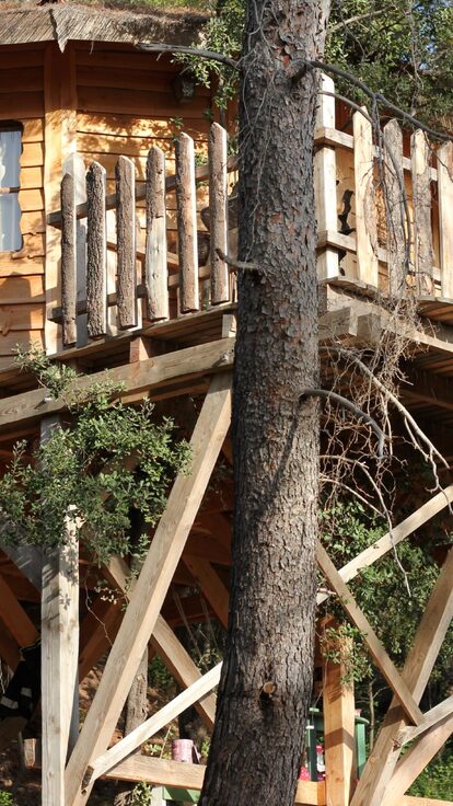 Cabane perchée sur pilotis, toit de chaume, ombragée par les arbres pour une escapade insolite en nature. Auberge de la Tuilière