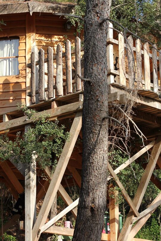 Cabane perchée sur pilotis, toit de chaume, ombragée par les arbres pour une escapade insolite en nature. Auberge de la Tuilière