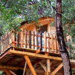 Cabane perchée en bois avec terrasse, nichée dans les arbres verdoyants, parfaite pour une pause insolite. Auberge de la Tuilière
