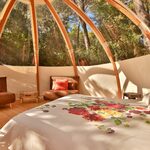 Dôme insolite, bois courbé, vue forêt, intérieur chaleureux, confort unique en pleine nature. Auberge de la Tuilière