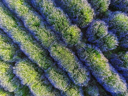 La région du Var : une richesse naturelle et culturelle à explorer depuis le Domaine de la Tuilière