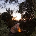 Campalune translucide illuminée, nichée sous les arbres pour une nuit insolite et intime en pleine nature. Auberge de la Tuilière