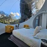 Campalune bulle, lit rond, vue nature, salon doré ; salle d'eau attenante pour séjour insolite. Auberge de la Tuilière