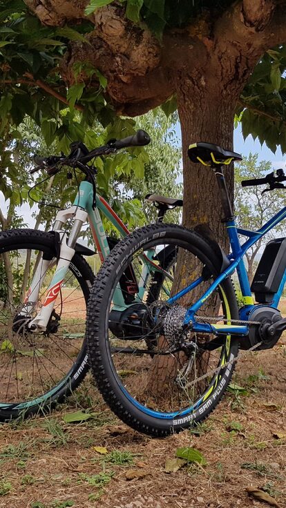 Vélos sous un arbre, face à une cabane perchée, prêts pour une escapade insolite au Domaine. Auberge de la Tuilière