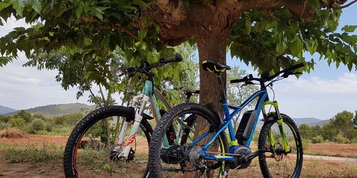 Vélos sous un arbre, face à une cabane perchée, prêts pour une escapade insolite au Domaine. Auberge de la Tuilière