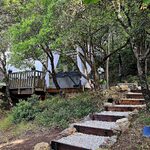 Escalier en bois menant à une cabane perchée avec terrasse, voilages blancs et déco nature raffinée. Auberge de la Tuilière