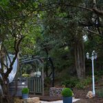 Jardin paisible, tonnelle bois, fleurs, sente gravier ; ambiance insolite et nature préservée. Auberge de la Tuilière