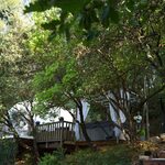 Cabane perchée avec rideaux blancs, sur terrasse bois, entre arbres, accès escalier pierres en pleine nature. Auberge de la Tuilière